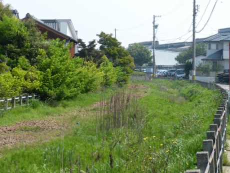 画像24
